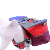 Adventurer 2-piece Pack With EZ Latch Dog Harness