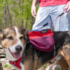 Adventurer 2-piece Pack With EZ Latch Dog Harness