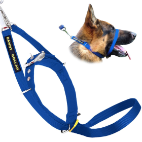 Canny Dog Collar (Color: Blue, size: 17"-19" - Size 5)