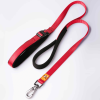 Canny Dog Leash