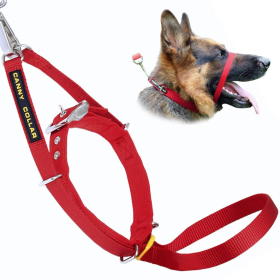 Canny Dog Collar (Color: Red, size: 15"-17" - Size 4)