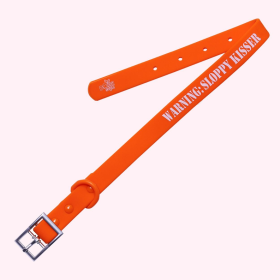 "Warning: Sloppy Kisser" Orange Silicone Dog Collar (size: large)