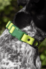 Mossy Pine Waterproof Dog Collar