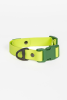 Mossy Pine Waterproof Dog Collar