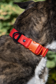 Scarlet Peaks Waterproof Dog Collar (size: 13 - 15 inch)