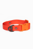 Scarlet Peaks Waterproof Dog Collar