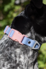 Blue Sky Orchid Waterproof Dog Collar