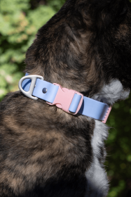 Blue Sky Orchid Waterproof Dog Collar (size: 20 - 26 inch)