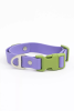 Lavender Garden Waterproof Dog Collar