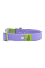 Lavender Garden Waterproof Dog Collar