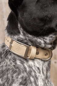 Champagne Fizz Vegan Leather Dog Collar (size: 13 - 15 inch)