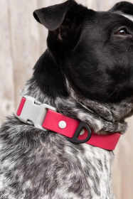 Red Mountain Syrah Waterproof Dog Collar (size: 13 - 15 inch)