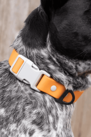 Crimson Glow Waterproof Dog Collar (size: 11 - 13 inch)