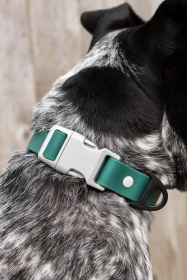 Siberian Spruce Waterproof Dog Collar (size: 19 - 21 inch)