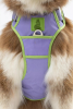 Lavender Garden Ultimate Dog Harness