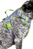 Lavender Garden Ultimate Dog Harness