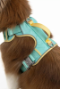 Island Vibes Ultimate Dog Harness