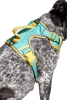 Island Vibes Ultimate Dog Harness