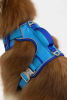 Dockside Adventures Ultimate Dog Harness