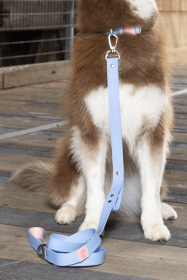 Blue Sky Orchid Waterproof Leash (Color: Periwinkle / Pink)