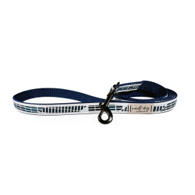 Cabana Mod Geometric Teal & Navy Ribbon Dog Leash (Color: Gold)