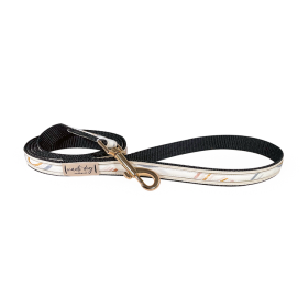 Promise Earthy Boho Rainbow Ribbon Dog Leash (Color: Black Gunmetal)