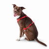 GF Pet  Travel Dog Harness