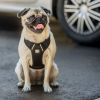 GF Pet  Travel Dog Harness