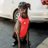 GF Pet  Travel Dog Harness