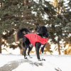 GF Pet Reversible ElastoFit Chalet Jacket