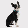 GF Pet Reflective Dog Collar