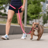 GF Pet Reflective Dog Leash - Eezy-11