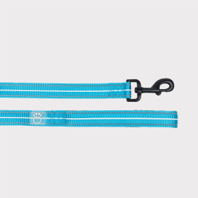 GF Pet  Reflective Dog Leash (Color: Neon Blue, size: XS/Small)