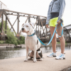 GF Pet  Reflective Dog Leash