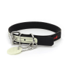 Ultrahund Play Glow Dog Collar