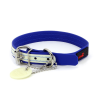 Ultrahund Play Glow Dog Collar