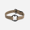 All Eyes On Me Dog Collar