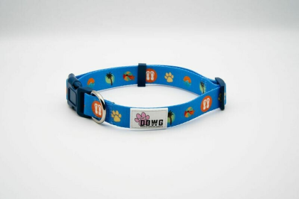 The Dowg Nylon Dog Collar (Color: Beach Blue, size: Medium/Large)