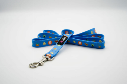 The Dowg Dog Leash (Color: Beach Blue, size: large)