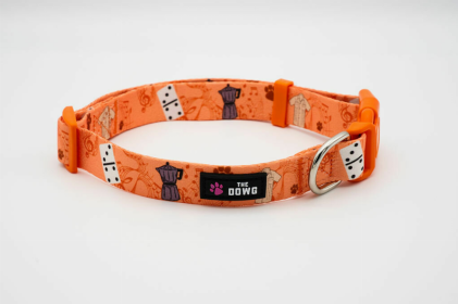 The Dowg Nylon Dog Collar (Color: Caribbean Canine, size: S)