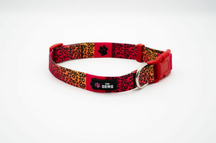 The Dowg Nylon Dog Collar (Color: Ruff And Rouge, size: S)