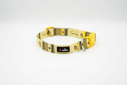 The Dowg Nylon Dog Collar (Color: Sweet As Honey, size: S)