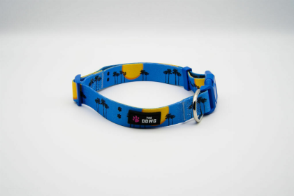 The Dowg Nylon Dog Collar (Color: Sky Blue, size: S)