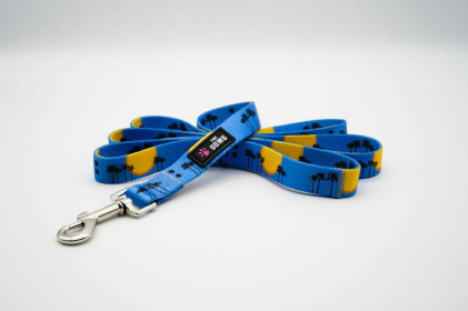 The Dowg Dog Leash (Color: Sky Blue, size: large)