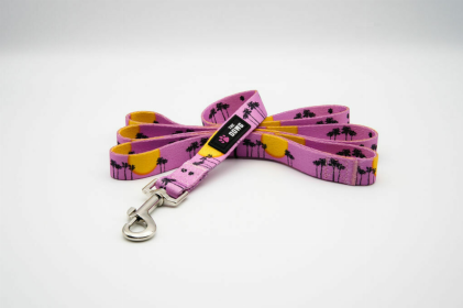 The Dowg Dog Leash (Color: Rose Pink, size: large)