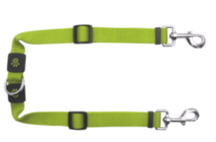 Doco Loco Dog Leash - 6Ft (Color: Lime Street, size: large)