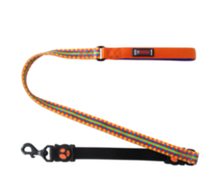 Doco Loco Dog Leash - 4Ft (Color: Lime Street, size: large)