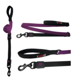 Doco Shock Absorbing Bungee Dog Leash (Color: Purple, size: large)