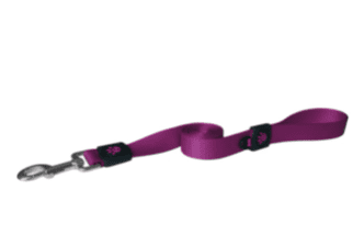 Doco Signature Nylon Dog Leash (Color: Purple, size: small)