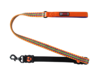 Doco 4Ft Loco Shock Absorbing Bungee Dog Leash (Color: Lime Street, size: large)